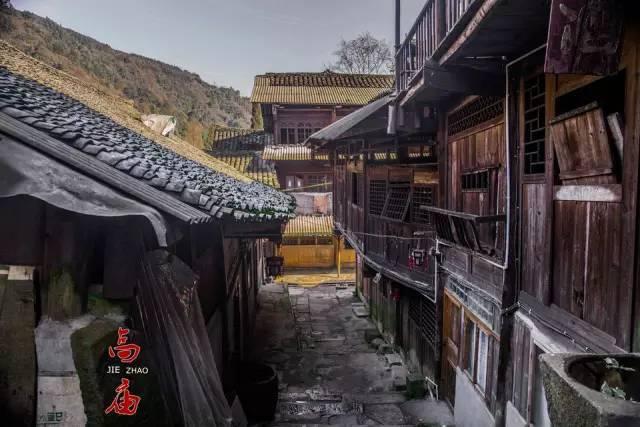 奇妙香蕉之旅